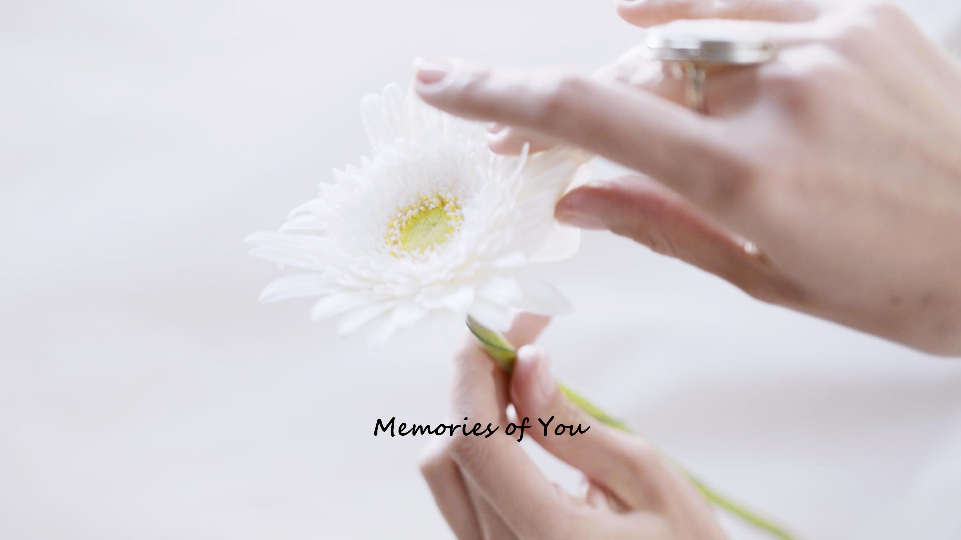 2021-winter-image-photostudiois-toppage_20210212 2021年2月 フォトスタジオIS トップページのイメージ画像