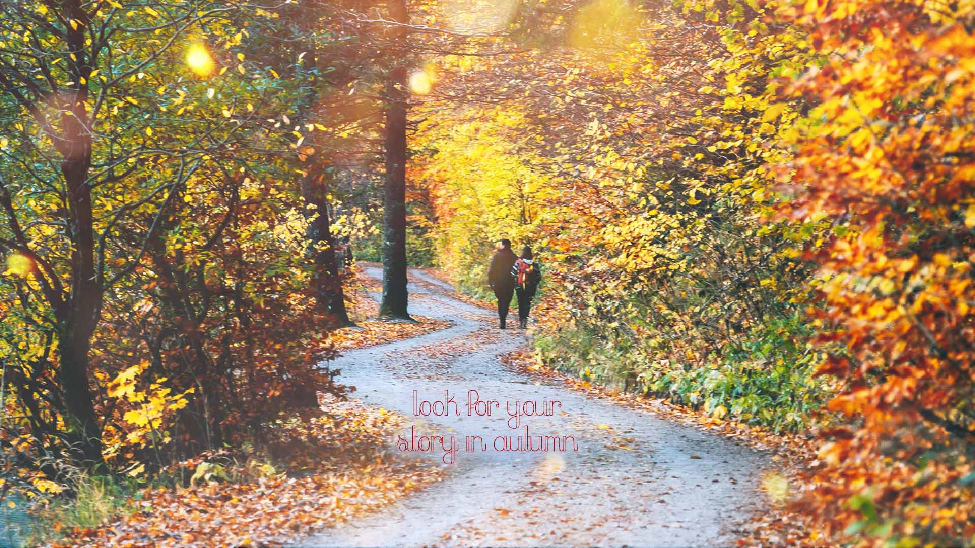 autumn-2022-photostudiois-toppage_20220921 2022年秋Photostudio ISトップページイメージ画像
