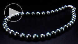 タヒチ産8～10mm南洋黒真珠ネックレス　全体